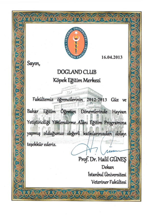 sertifikalar horse dogland club k9 kopek egitimi at ciftligi