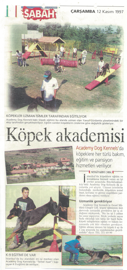 Köpek Akademisi