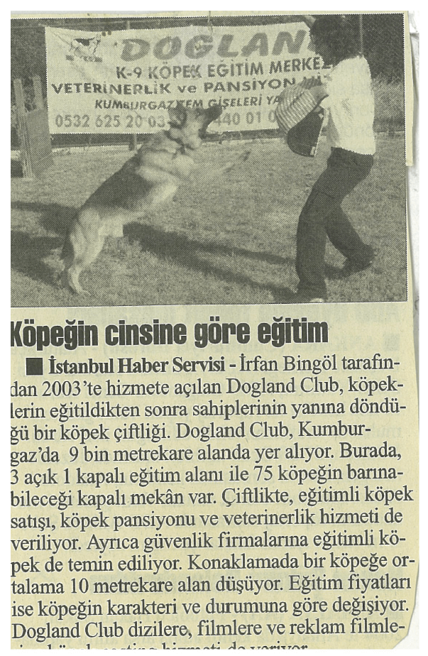 Köpeğin Cinsine Göre Eğirim